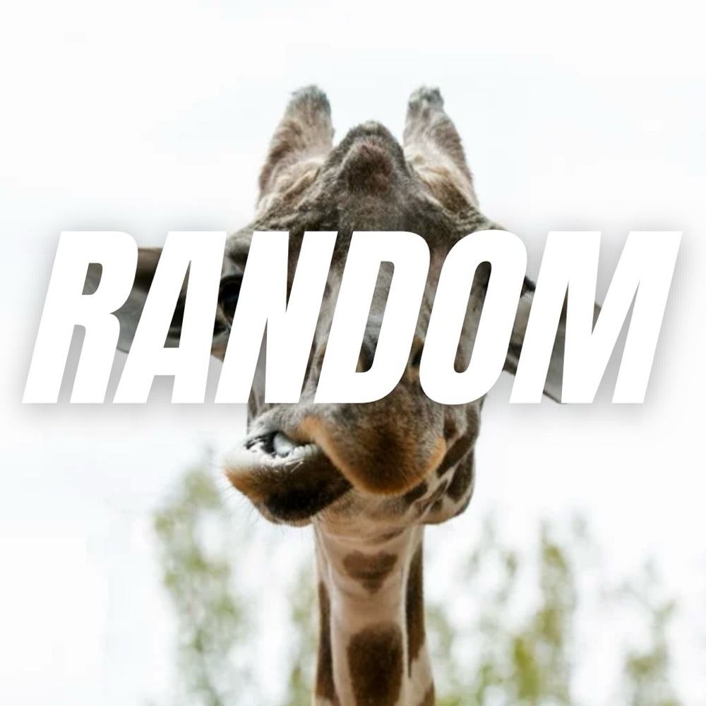 Giraffe Graphic Tee